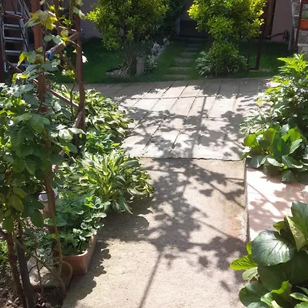 Casa Elena Eselnita-3