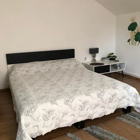 Casa Rediu Iasi-2