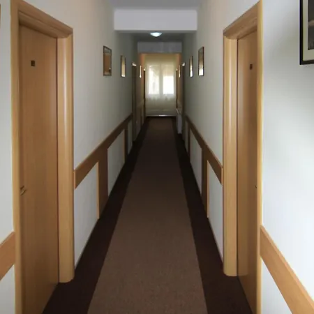 Hotel Muresul Health Spa-3