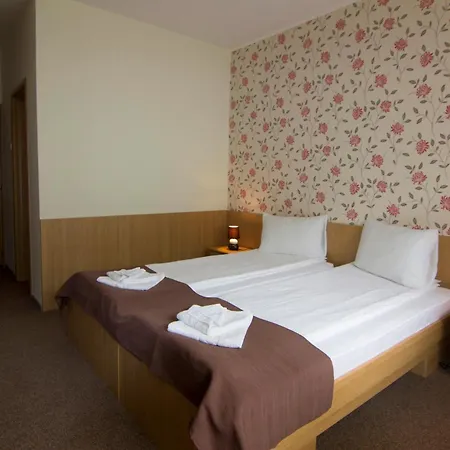 Hotel Muresul Health Spa-2