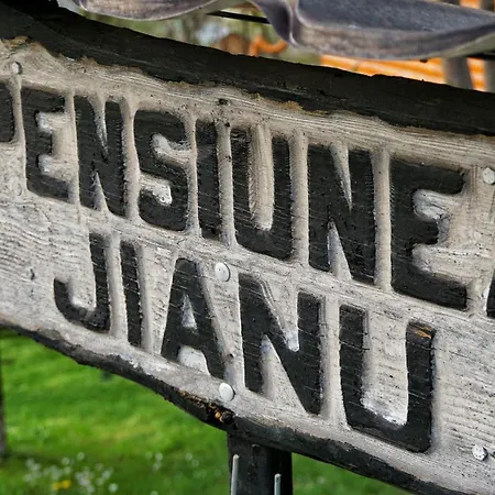 Pensiunea Jianu-3