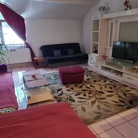 Vila Roxy Poiana Brasov-2