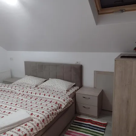 Casa Ivascu Moisei-2