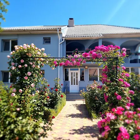 Casa cu Trandafiri Murighiol-3