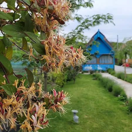 Casa Malul Dunării-2
