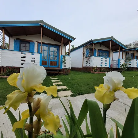 Casa Malul Dunării-3