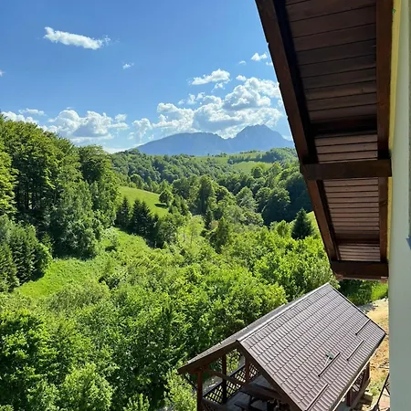 Pensiunea 7 Brazi II-3