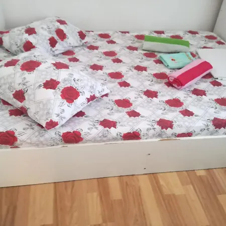 Vila Emy Constanta-2