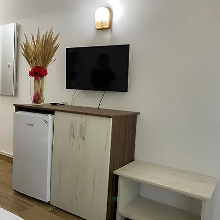 Hotel Rodica-3