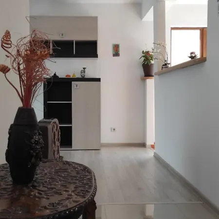 Apartament Trei Stejari-3