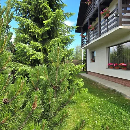 Vila Flora în Gura Humorului-2