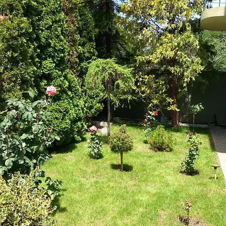 Green House-2