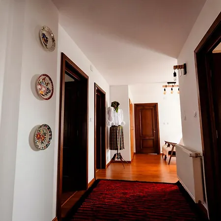 Vila Ghita-3