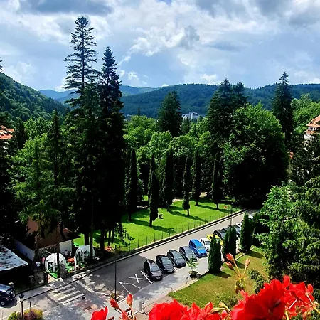 Laura Apartments Sinaia-2