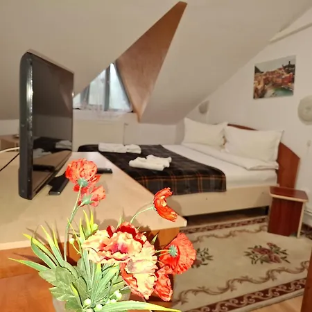 Casa Boiereasca-2