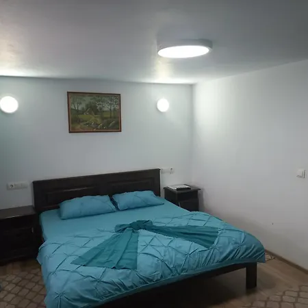 Casa de vacanță Perla Colibitei-2