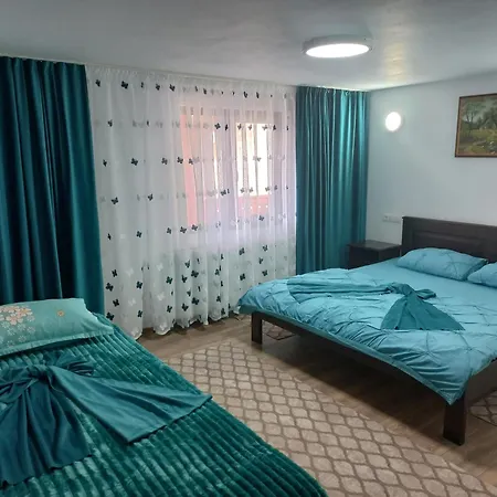 Casa de vacanță Perla Colibitei-3