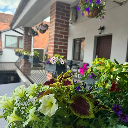 Casa Mignon-3