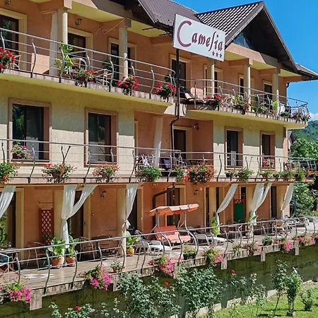 Pension Camelia-2
