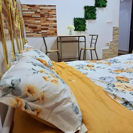 Regim Hotelier Pietonală-2