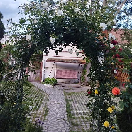Pensiunea Sub Cetate Deva-2