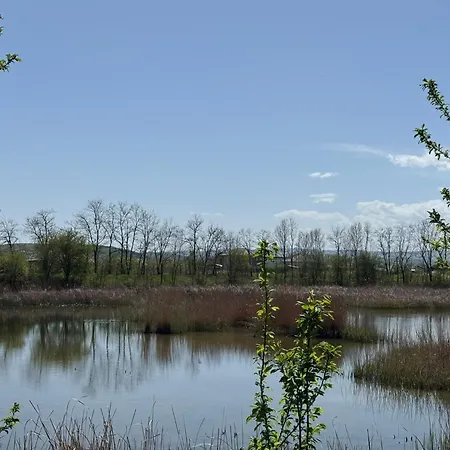 Nature Land Jucu-2