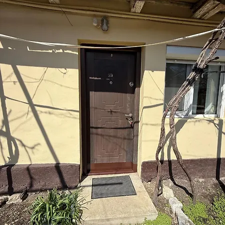 Casa Taraneasca-2
