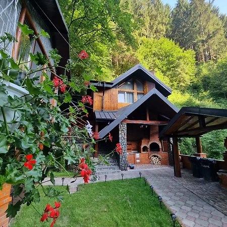 Căbănuța Cocoțată-2