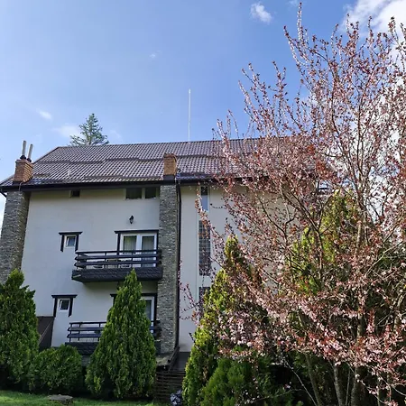 Hotel Piatra Soimului-3