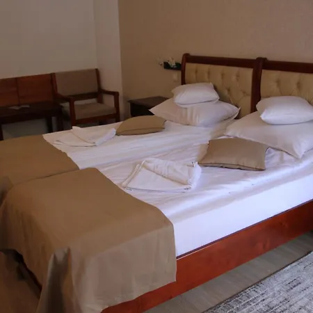 Hotel Nemira-3
