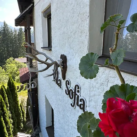 Vila Sofia-3