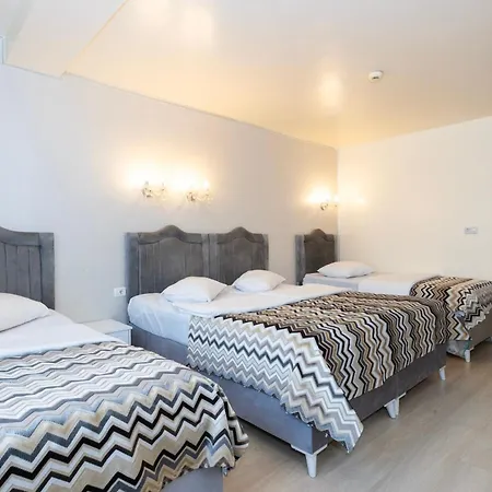 Hotel Merty-3