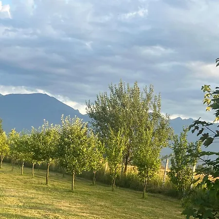 La Izvoare Pensiune-Păstrăvărie-3