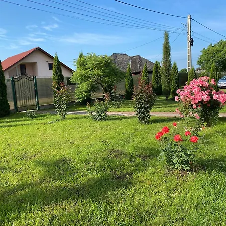 Pensiunea Maria-3