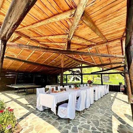 Vila Cretu Bran-2