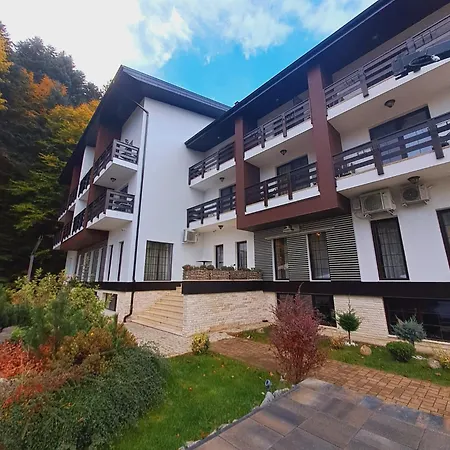 Piatra Pinului Ski&Spa-3