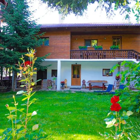 Pensiunea Andrei-2