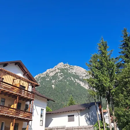 Vila Panoramic Busteni-3