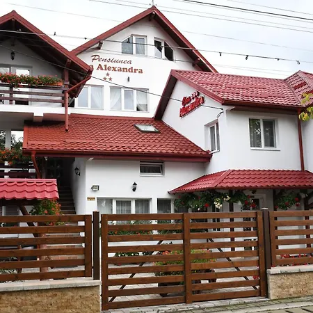 Pensiunea Casa Alexandra-2