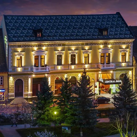 Hotel Central Park Sighisoara-3