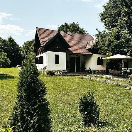 Cuib din Fagaras-2
