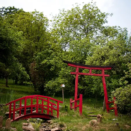 Casa Lily - Japanese Retreat-3