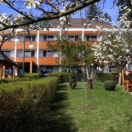 Hotel Park Sfantu Gheorghe-3
