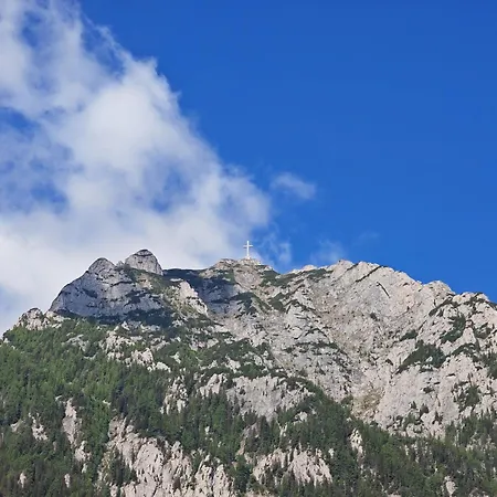 Pensiunea Luminita-2
