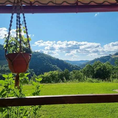 Casa cu Muscate-2