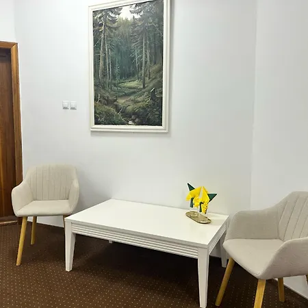 HOTEL CORA Bistrita-3