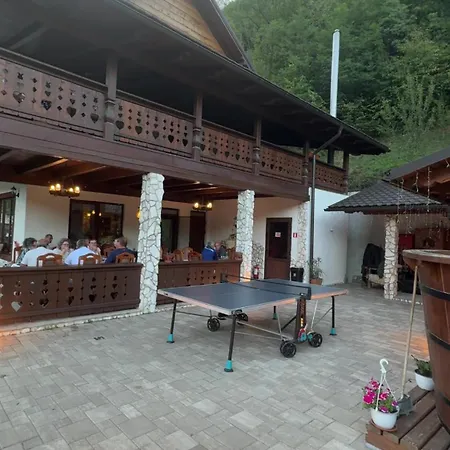 Pensiunea Drumul Iancului-3
