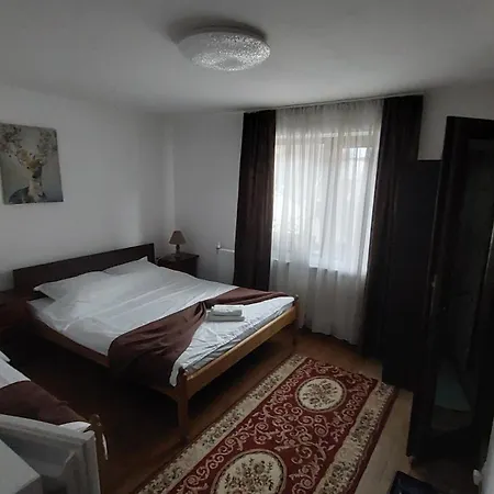 Casa Ryana Sinaia-2