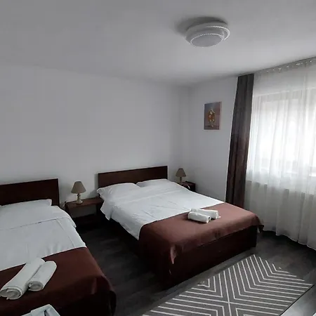 Casa Ryana Sinaia-3