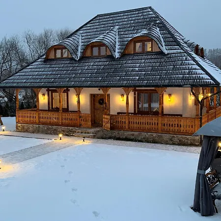 Casa Moroșanului Vișeu de Sus-3